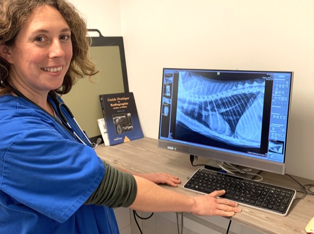 analyse vétérinaire