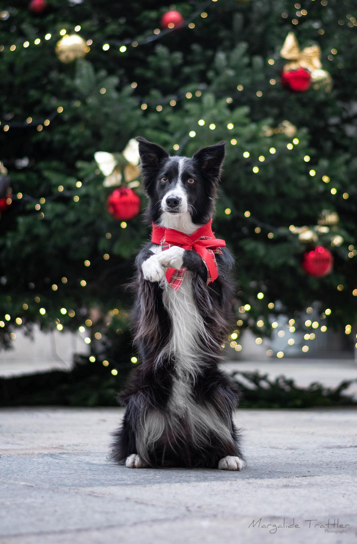 Fermeture exceptionnelle