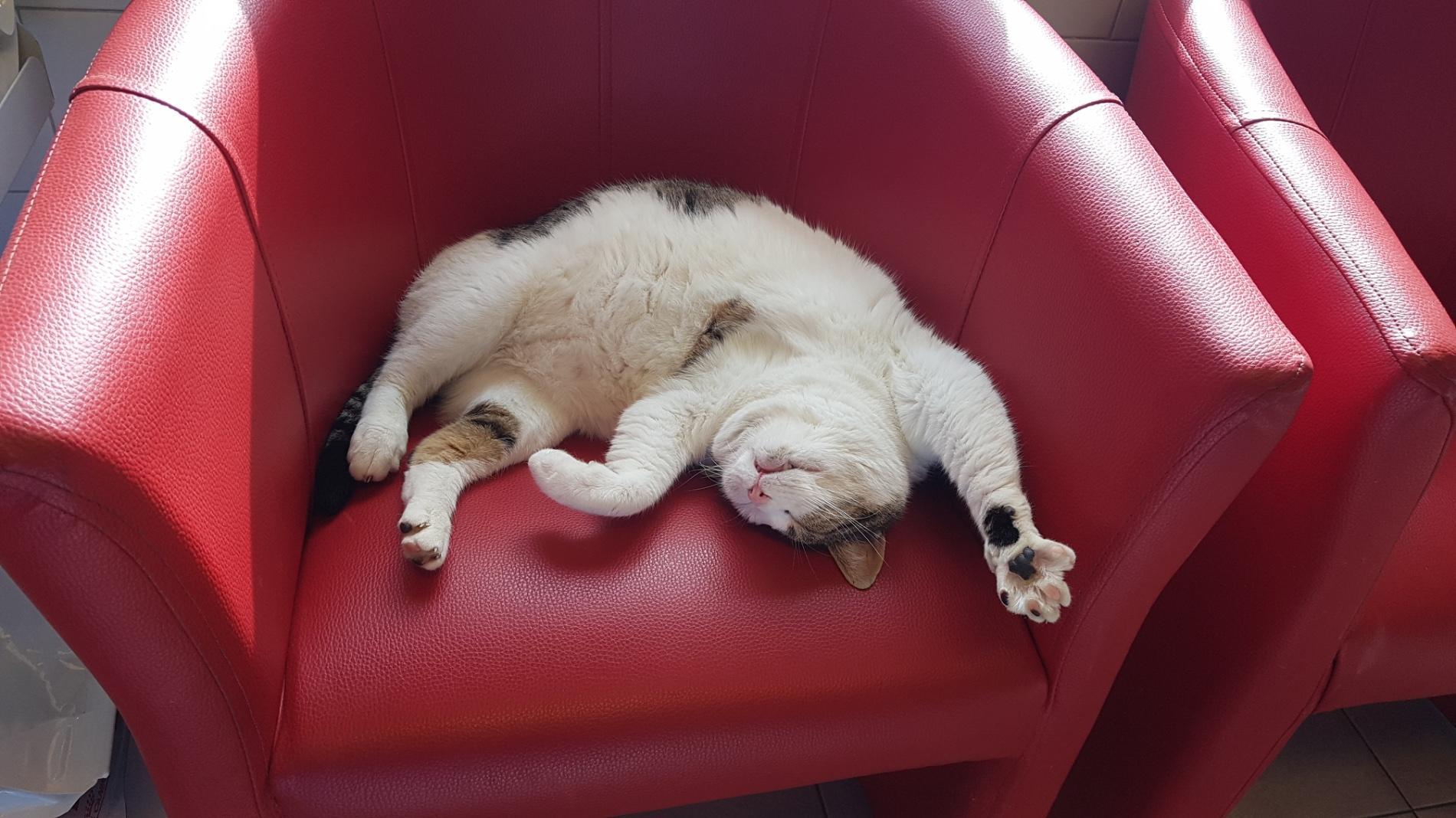 Fermeture exceptionnelle - ponts de mai