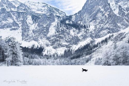 Un manteau pour l'hiver ?